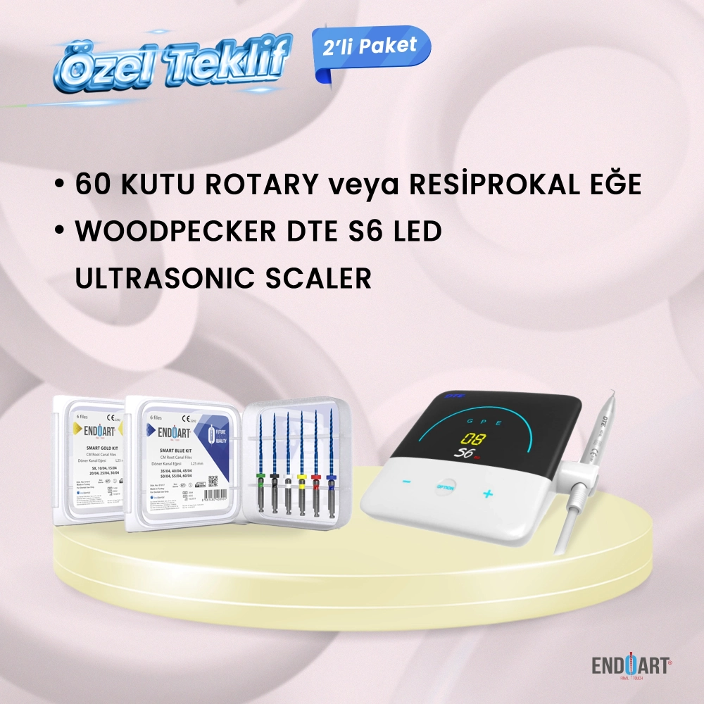 60 Kutu Kanal Eğesi + Woodpecker DTE S6 Led Ultrasonic Scaler