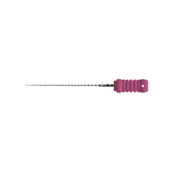 EndoArt C files