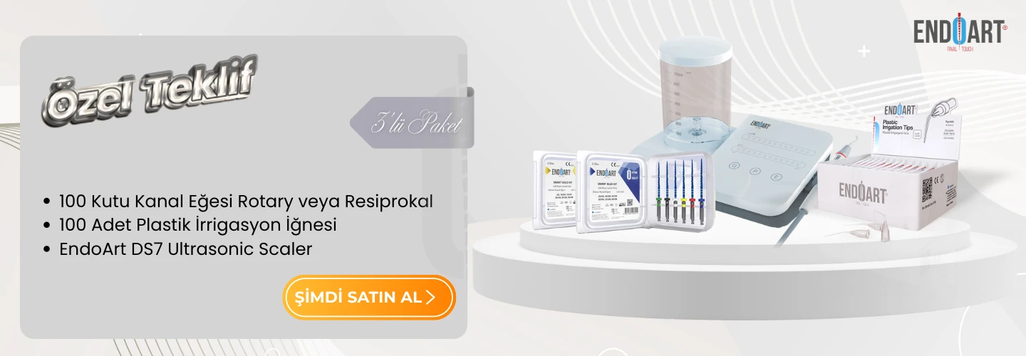 ENDOART SCALER