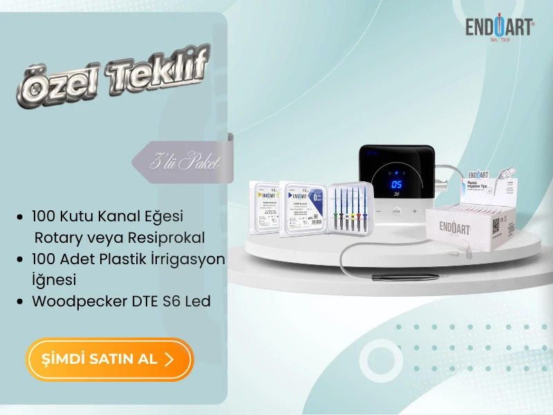 WOODPECKER DTE S6 SCALER MOBİL